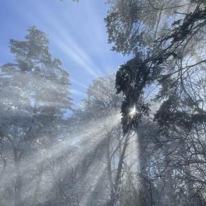 裸休主播视频下载免费观看
