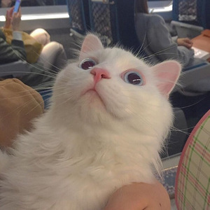 裸休主播视频下载免费观看
