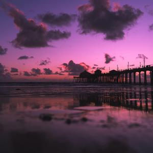 裸休主播视频下载免费观看
